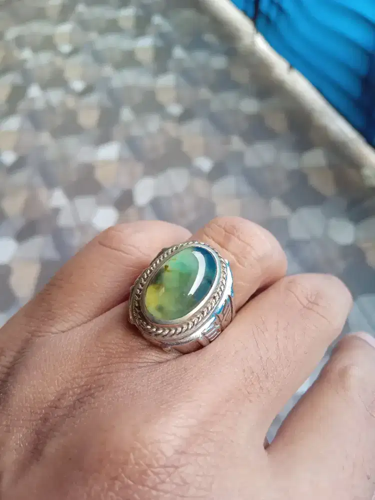 Bacan coklat giwang