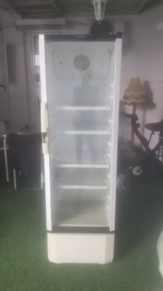 Shocase politron