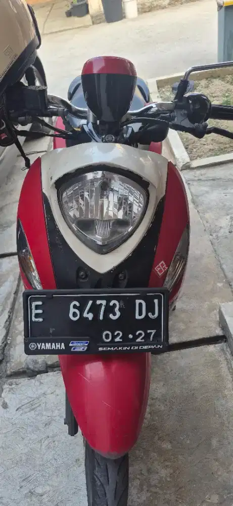 Motor mio fino mulus