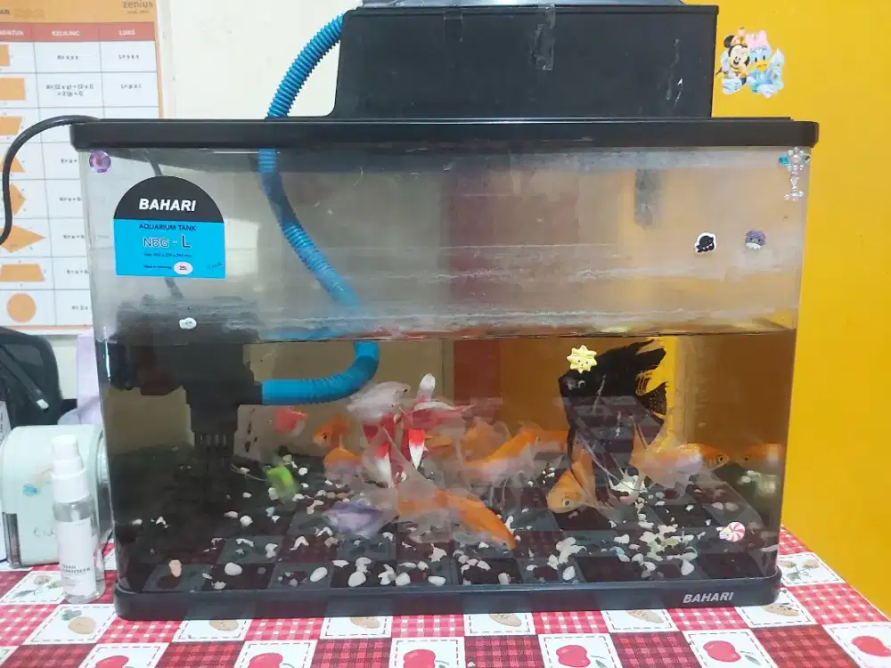 Aquarium merk Bahari ukuran L