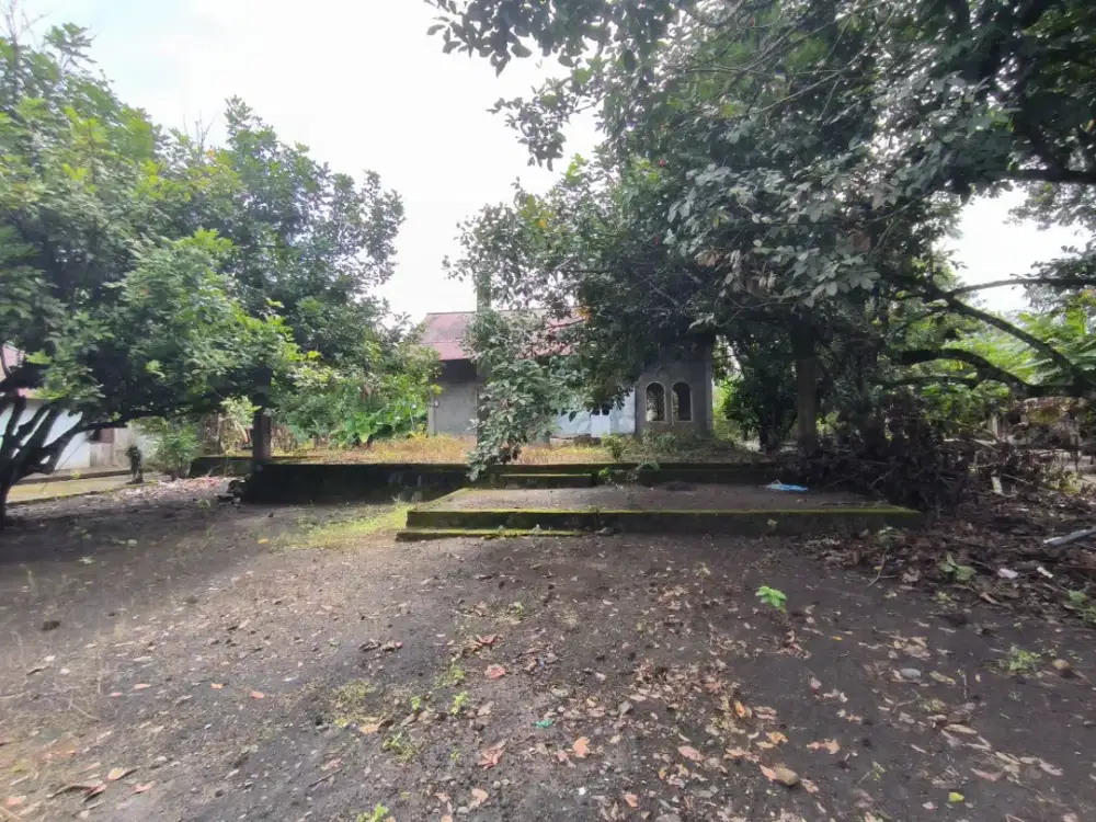 TANPA PERANTARA