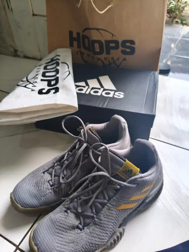 Sepatu basket pro bounce 2018 low second