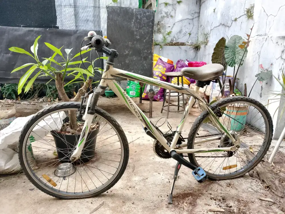 Sepeda gunung Wimcycle Roadchamp S 26 inci