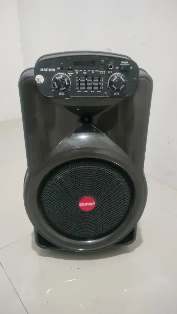 Asatron HK8788UKM 12 INCH BASS MANTEP