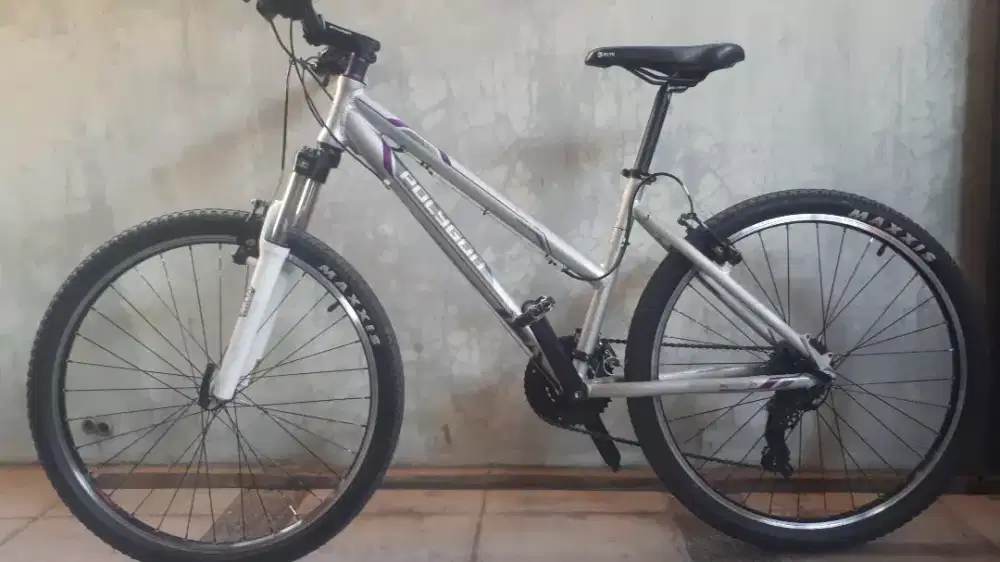 Polygon Premier Lady