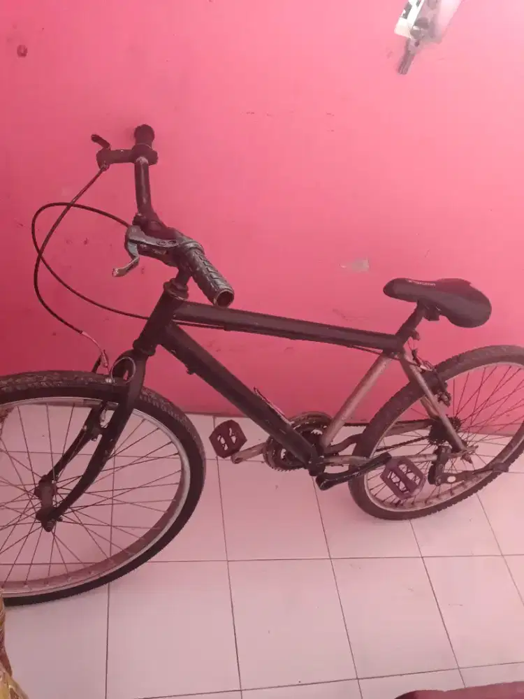 Dijual sepeda bekas