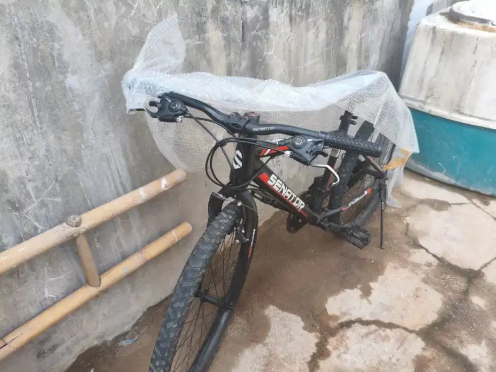 Sepeda MTB senator