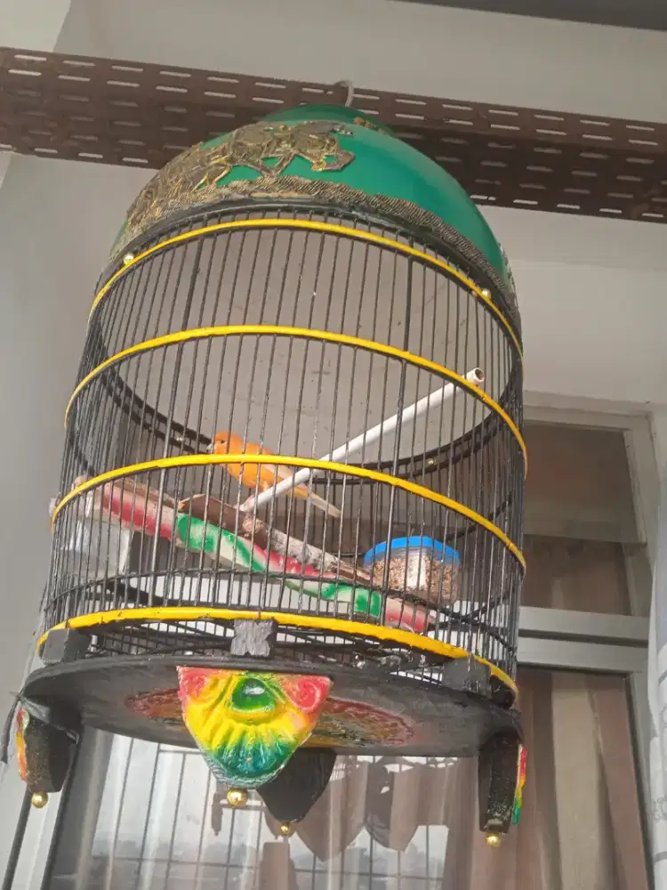 Jual aja burung kenari gacor plus kandang