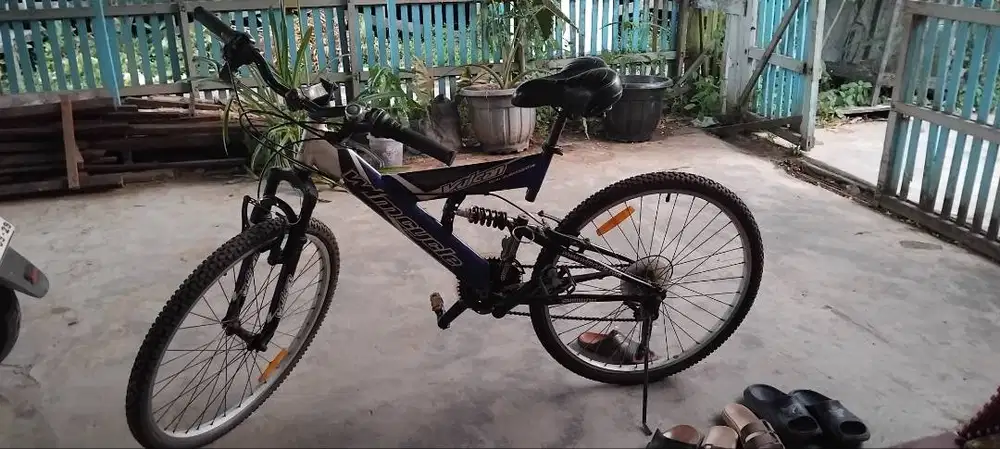 Sepeda wimcycle