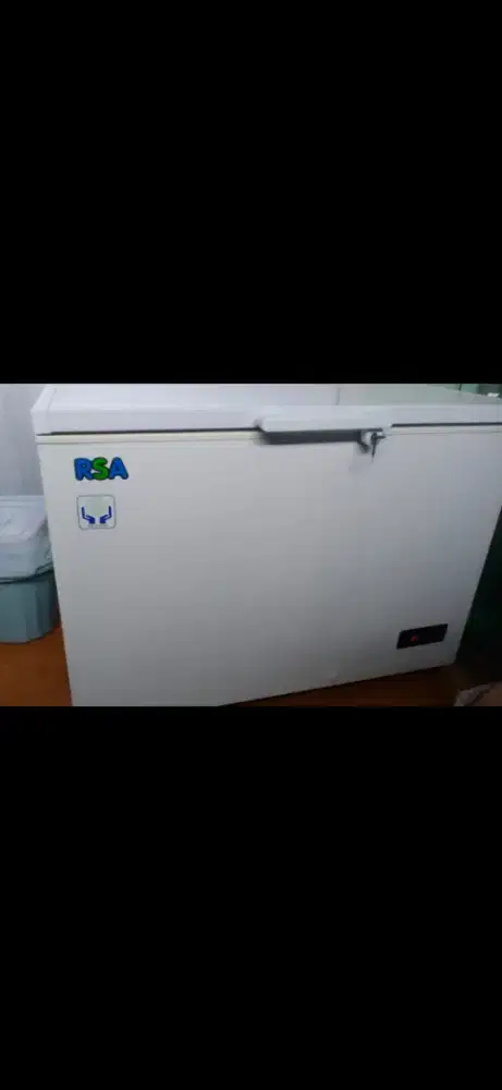 Freezer GEA 300liter