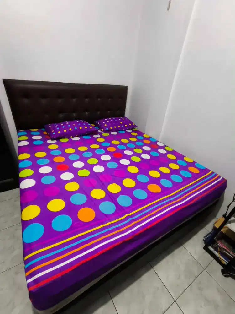 Springbed Romance + Dipan