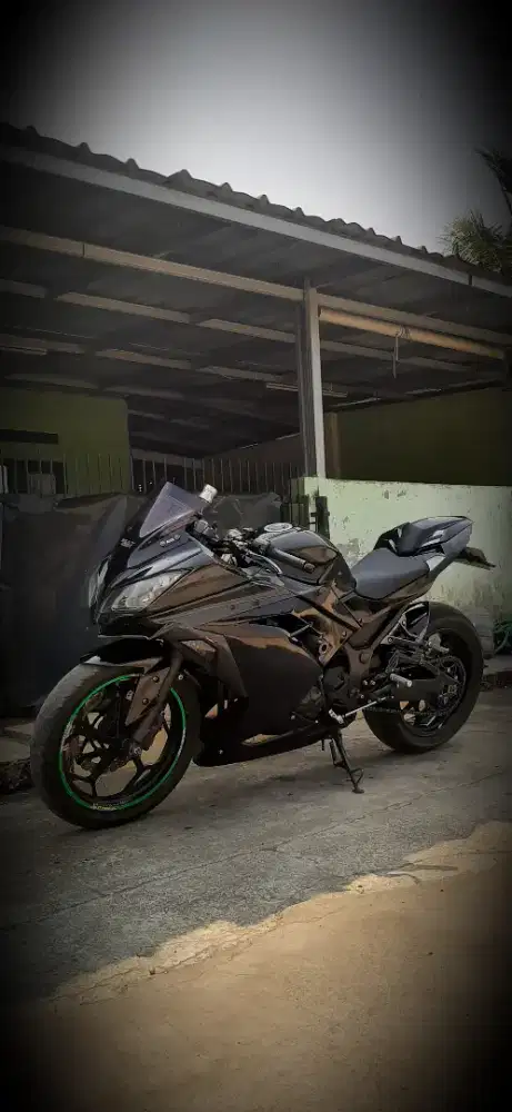 Kawasaki Ninja 250 FI
