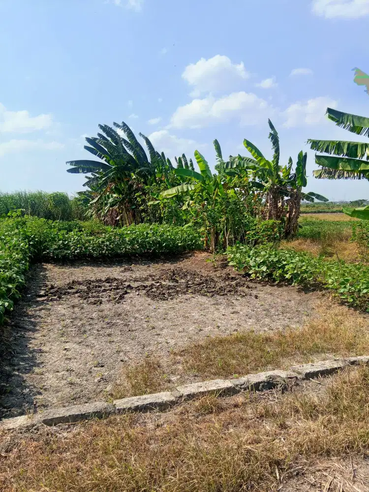 Dijual Tanah Kavling Murah