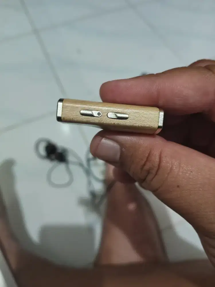 DAC Snowsky melody plus IEM oopusx op 22