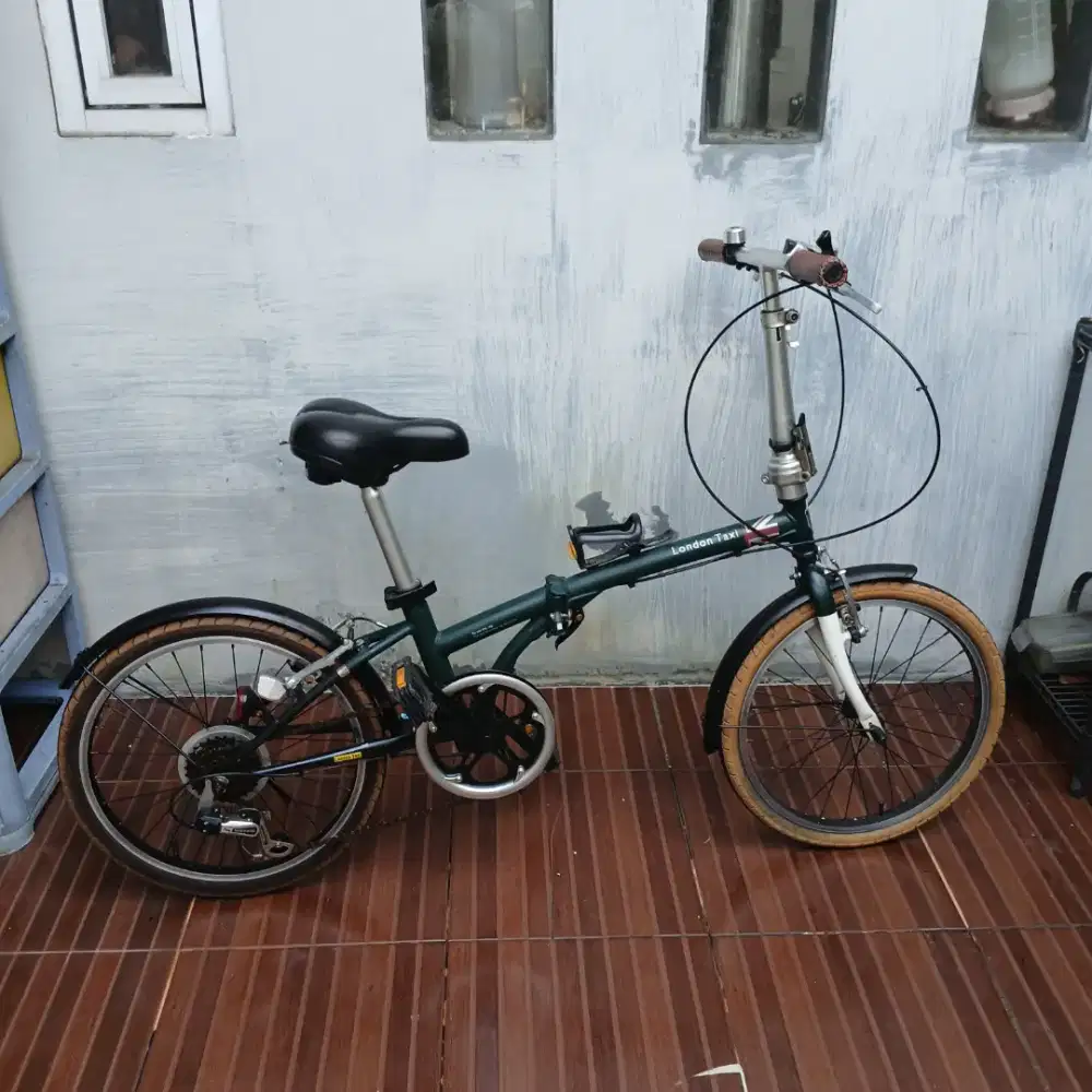 Green London Taxi 20 folding bike