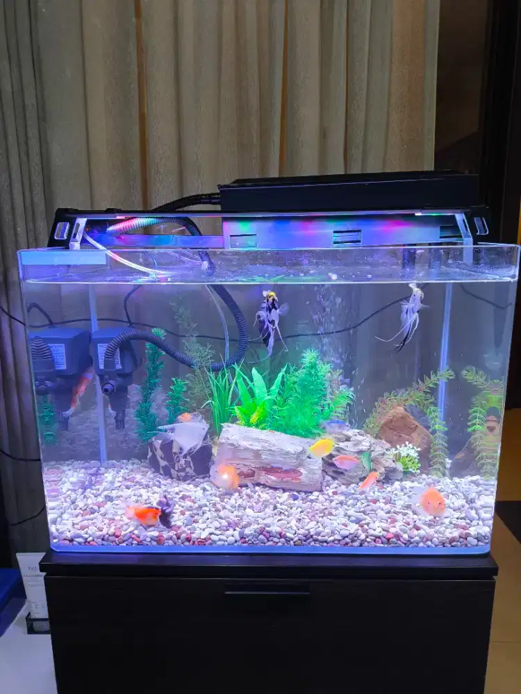 AQUARIUM FISHLAND 81 LITER AZ-KO PRELOVED