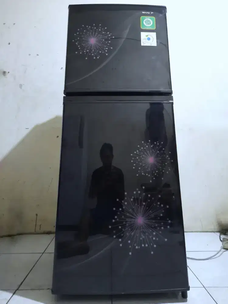 kulkas SHARP 2 PINTU