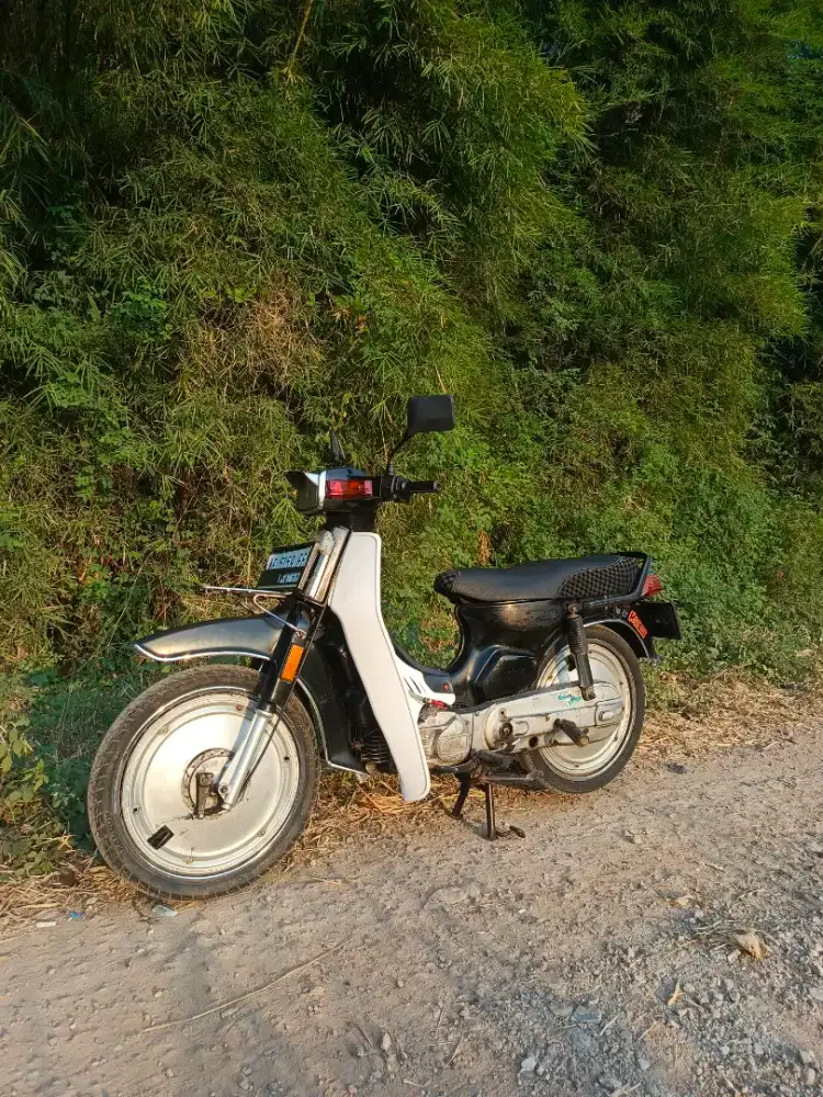 suzuki rc100/bravo
