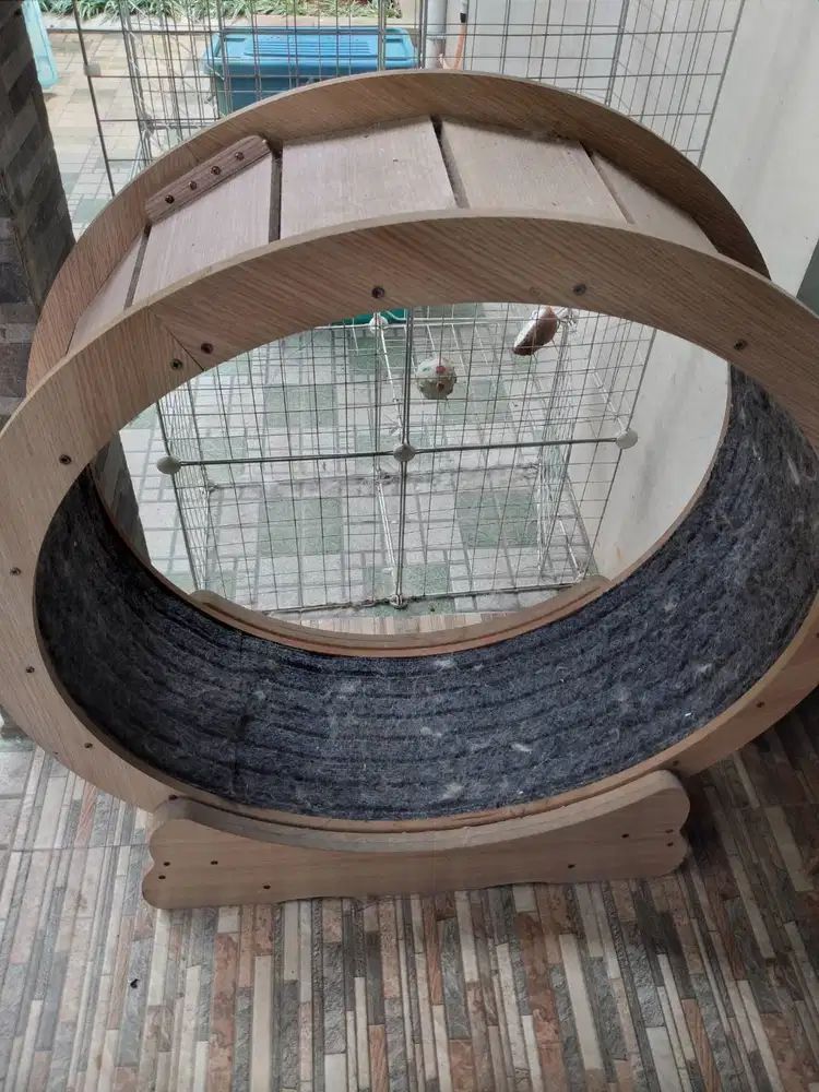 CAT WHEEL MAINAN KUCING