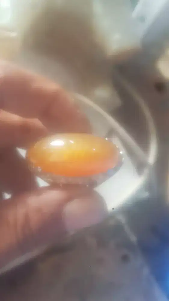 Pandan nanas kristal golden betik