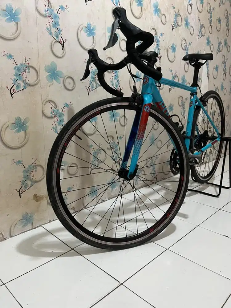 Sepeda Roadbike Polygon