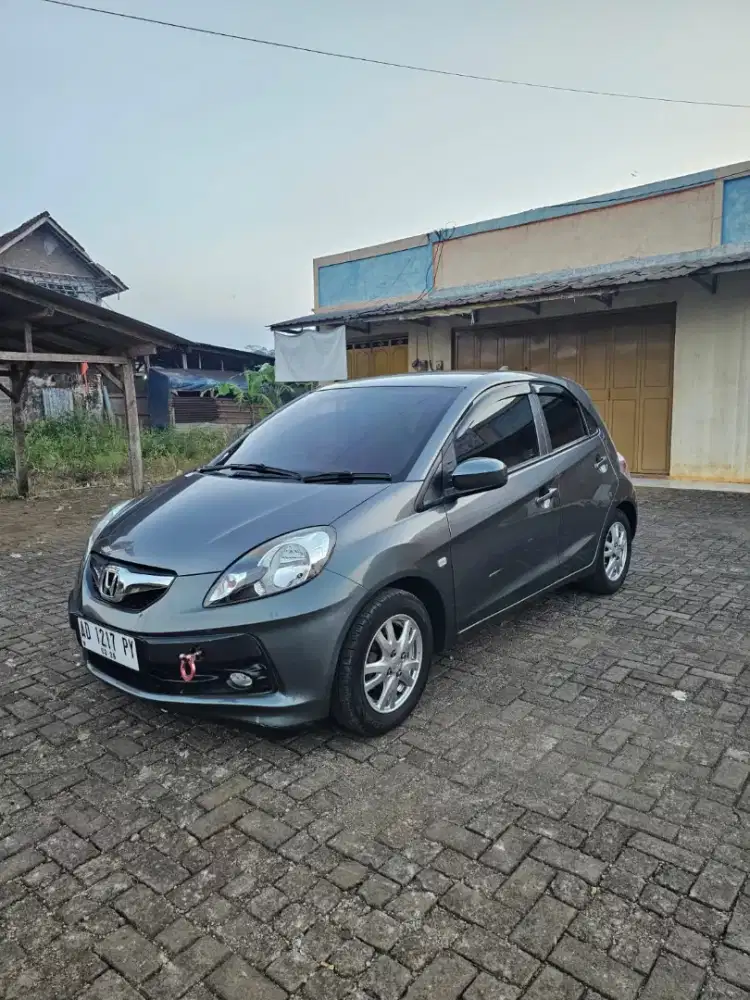 Brio E Manual 2014