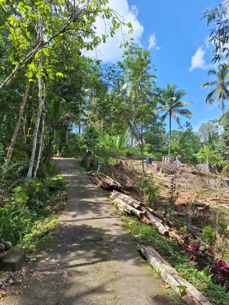 Dijual tanah dekat Jagiluwih terace Bali