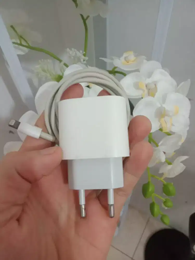 Charger Original iPhone