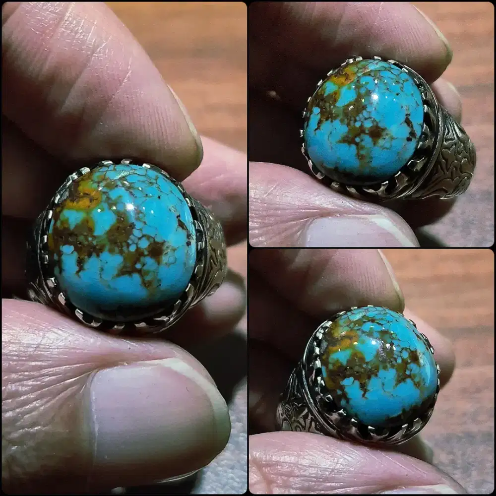 Pirus Persia Lawas