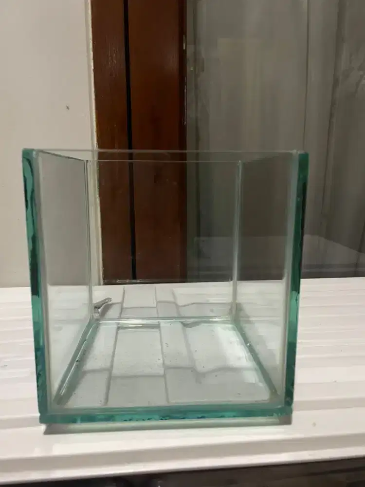 Soliter ikan 3 liter aquarium 3l