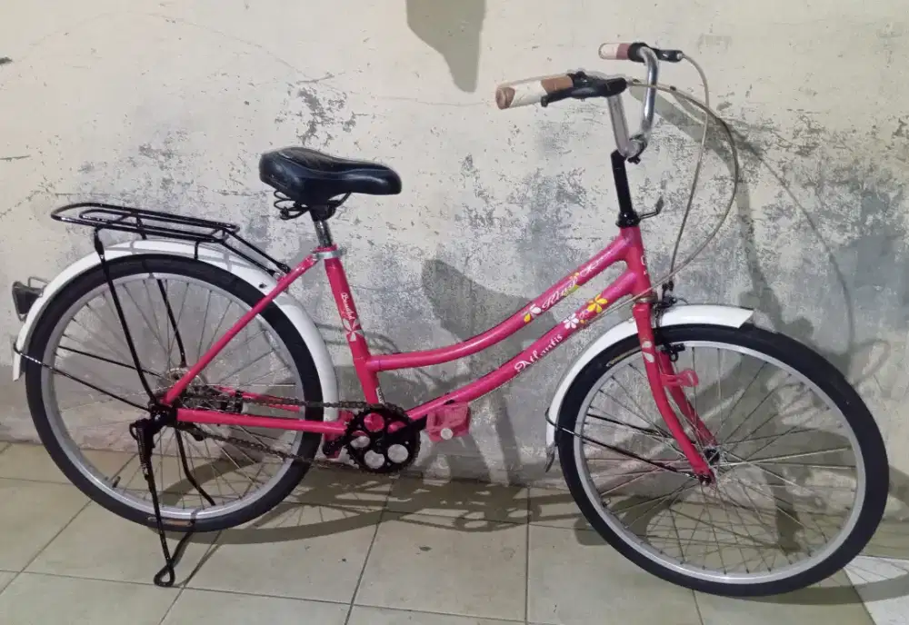 Sepeda mini Ukuran 24 untuk usia bebas anak / dewasa