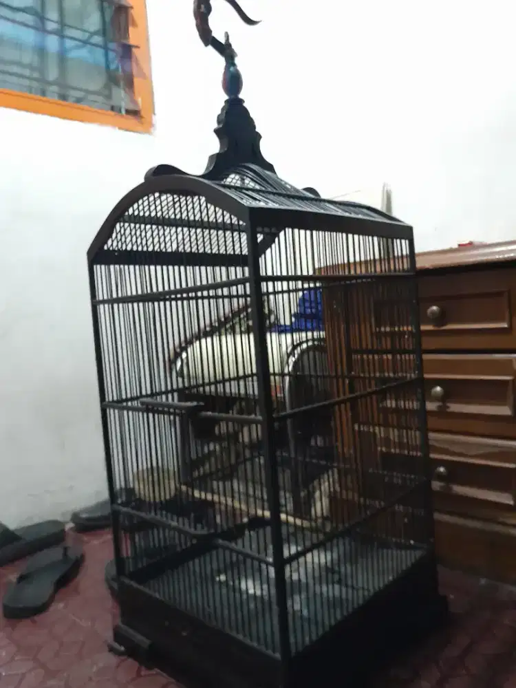 Kandang kosan cakepp