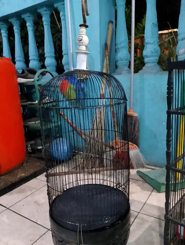 Kurung kapsul murah nego