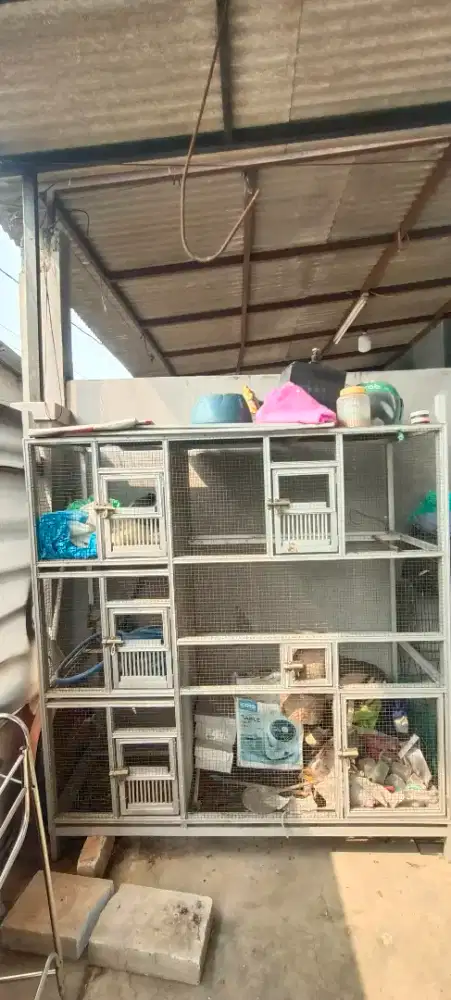Kandang ternak burung