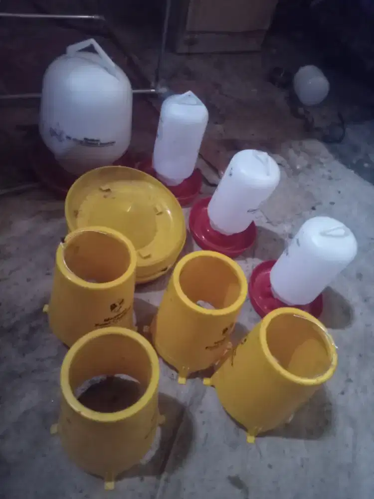 Tempat makan/minum ayam