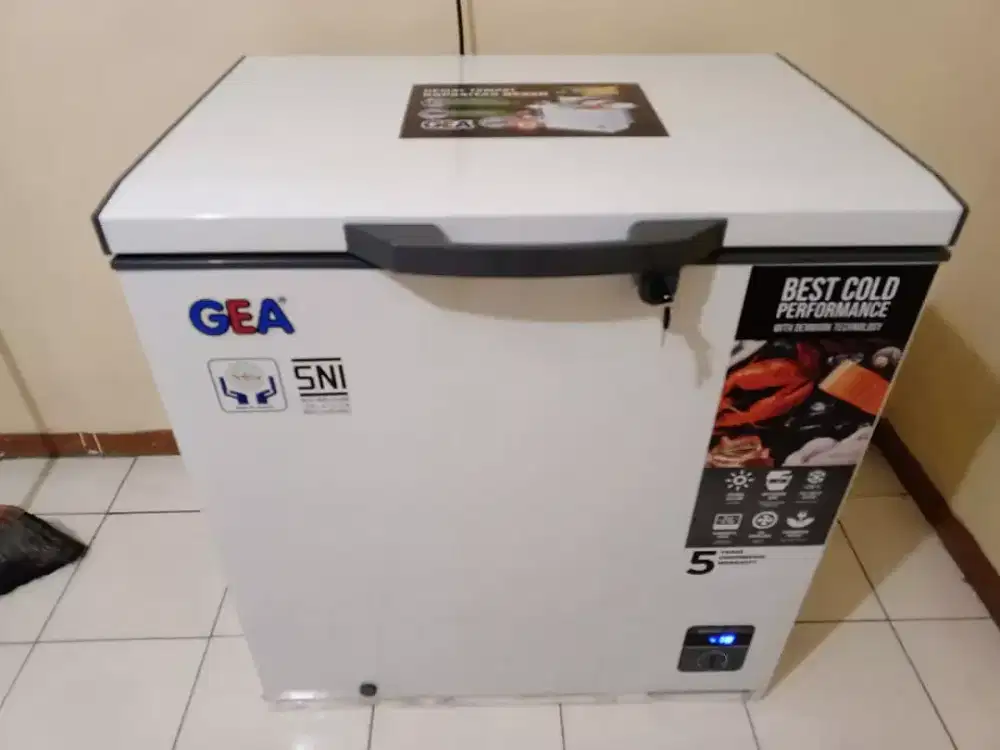 Frezeer box gea 210L