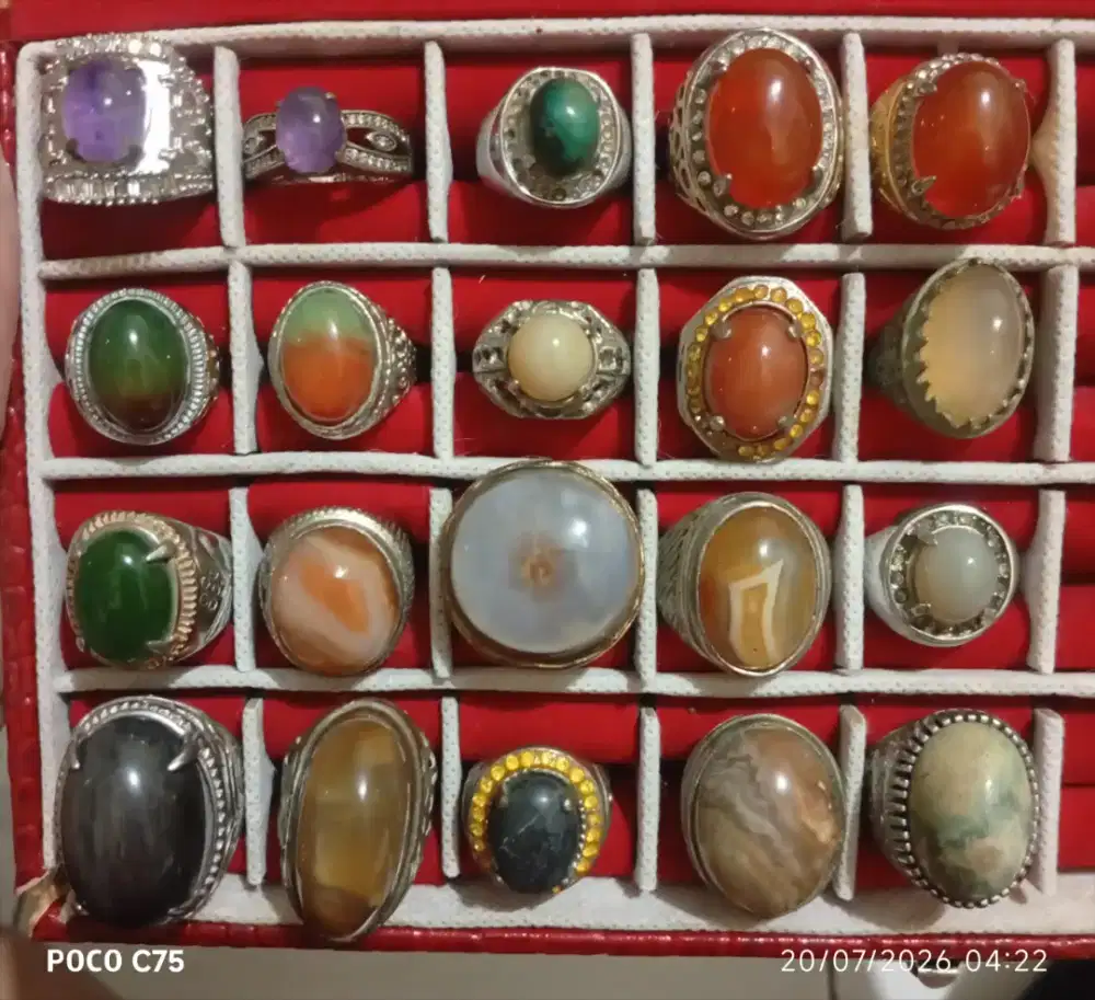 Borongan 20pcs Bacan,Bungur,Raflesia,Anggur, dll