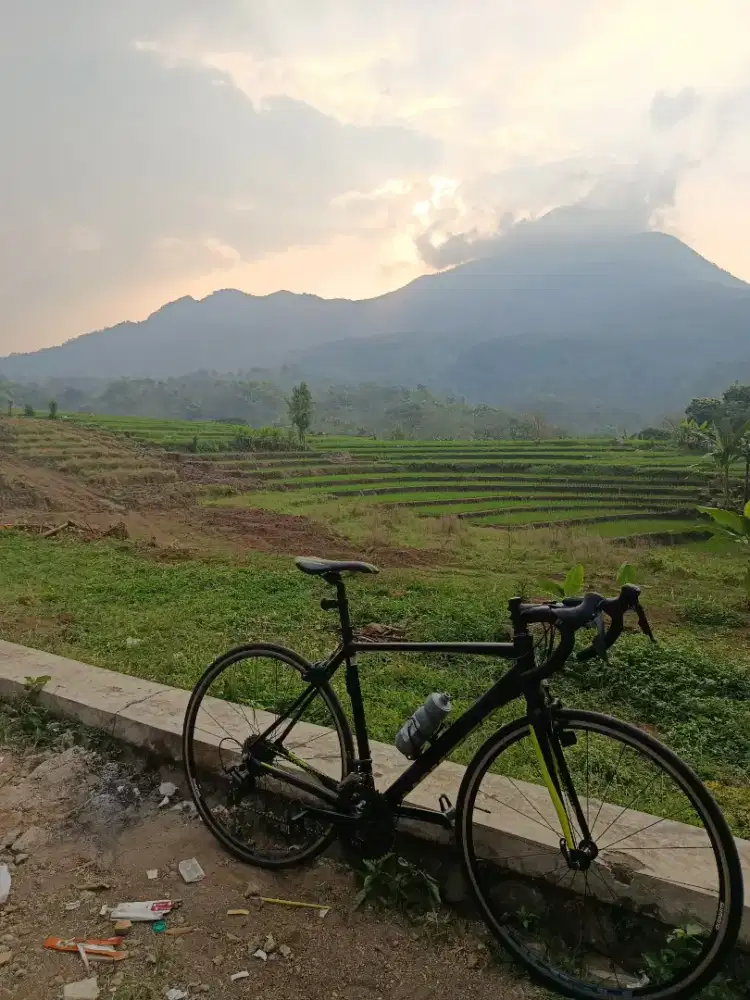 roadbike United inerta 3.0