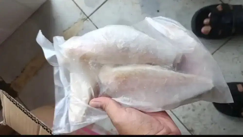 Ikan dori fillet