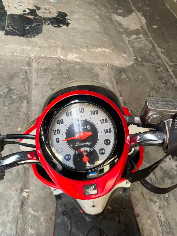 Scoopy injection 2017