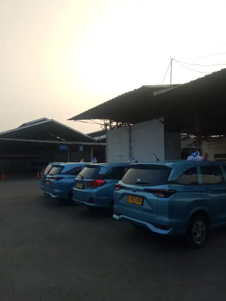 Driver Taksi Bandara Bluebird
