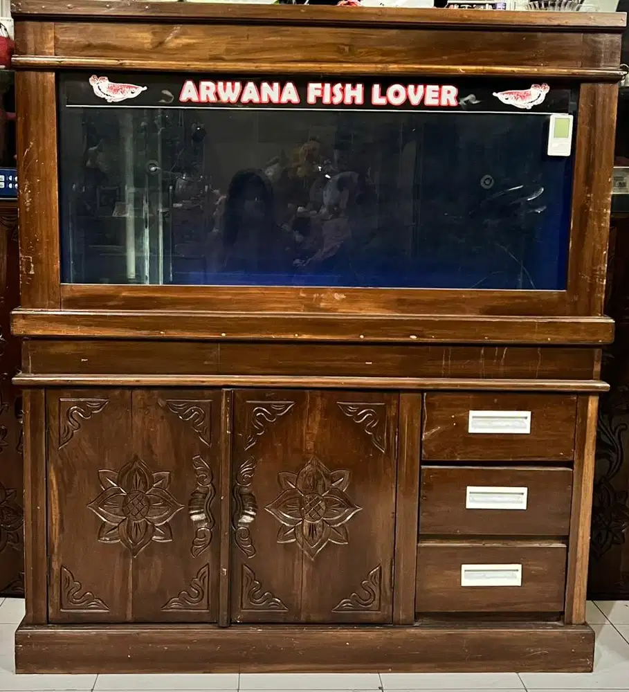 aquarium arwana jual murah cepat
