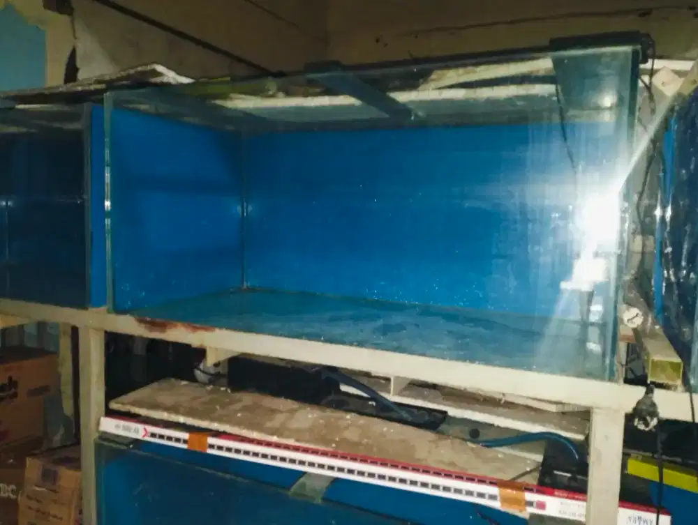 Aquarium kaca ketebalan 10 mili
