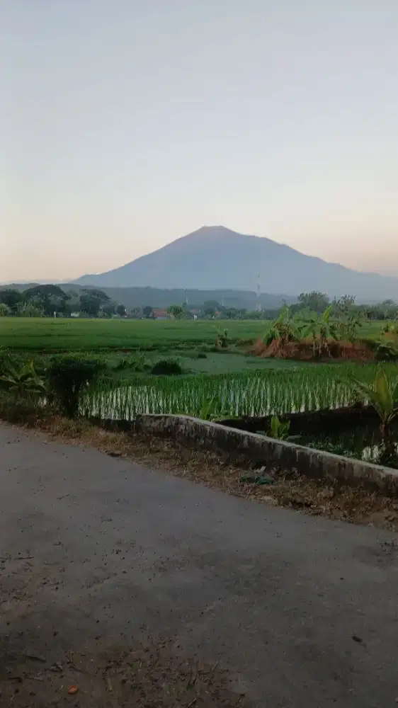 TANAH MURAH DEKAT KOTA SUMBER