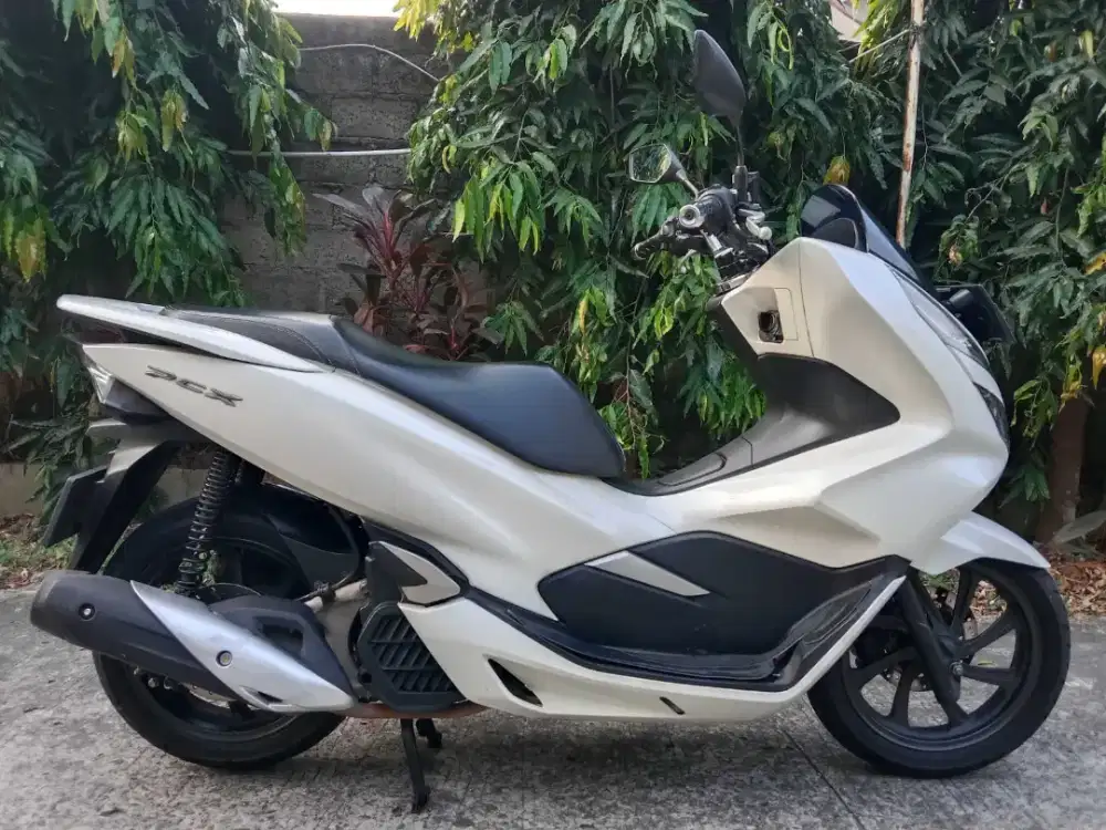 Honda PCX 150 th 2019 bisa cash/kredit