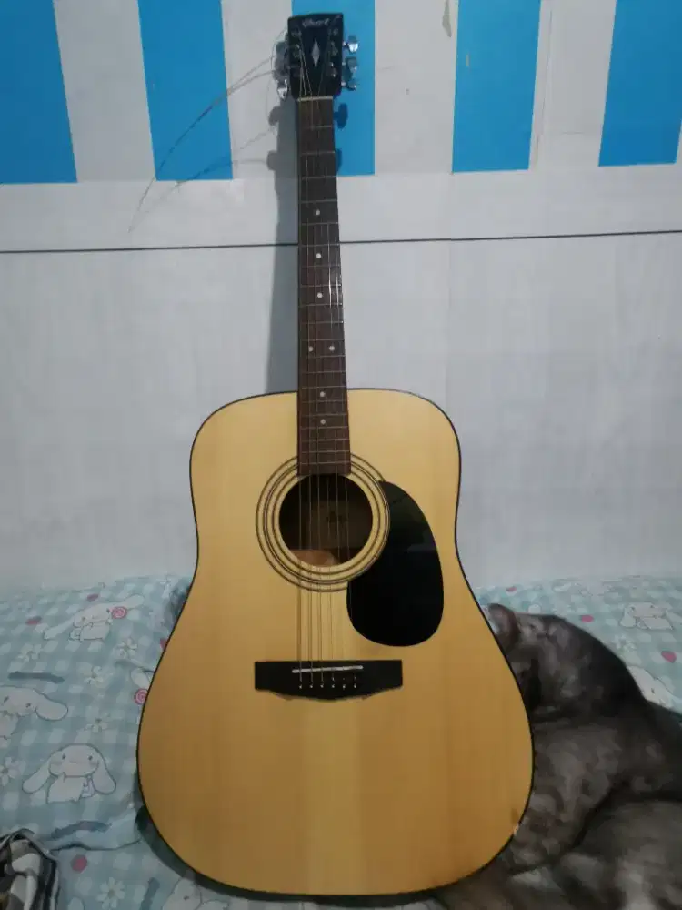 cort ad810 op original..