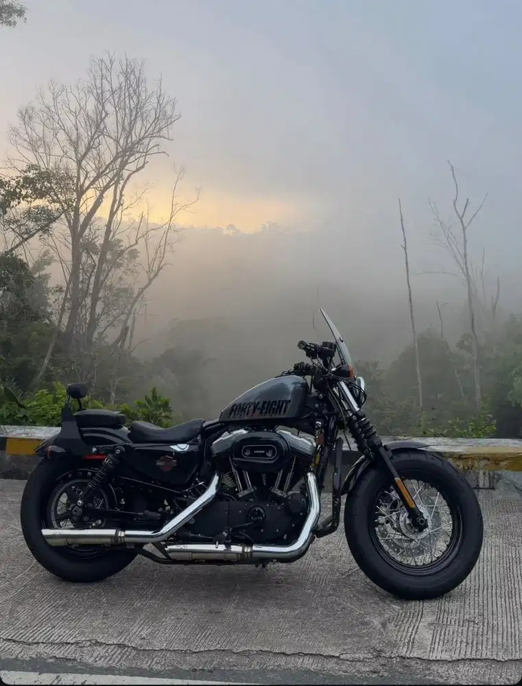 Harley Davidson Sportster 48 2015 low odo