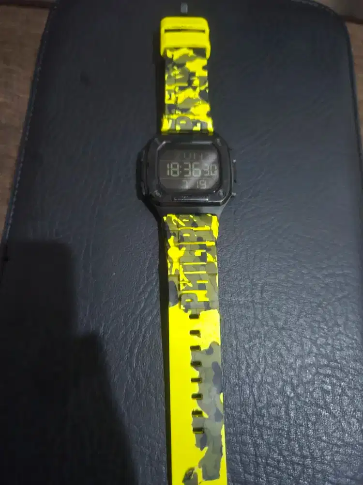 philipp plein jam