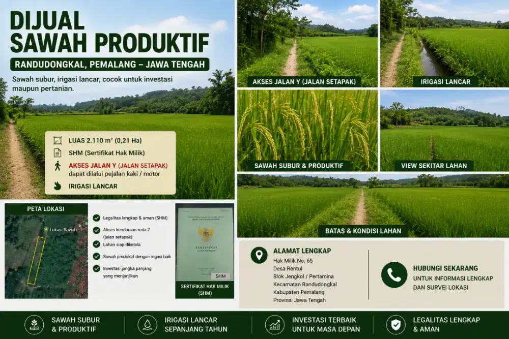 DIJUAL SAWAH PRODUKTIF – RANDUDONGKAL, PEMALANG