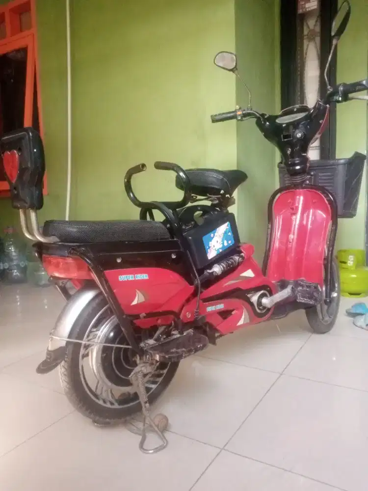 Selis united ebike